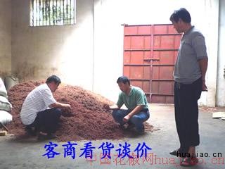 1P1010404.jpg