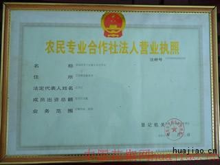 1P1010393.jpg