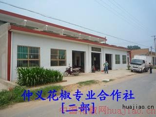1P1010406.jpg