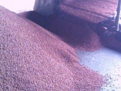 我苗圃位于陕西省韩城市，是我国重点花椒示范园区，20多年来长期从事韩城大红袍花椒苗的生产和优选工作，年生产韩城大红袍花椒苗100万株以上，苗木畅销全国各地，深受用户欢迎。参考价；0.2-0.3元。同时可提供优选无刺大红袍花椒苗20万株，优选苗刺少，好管理，产量高，易采收，效益高。株价1元。提供栽培技付资料，办里保湿邮寄，欢迎光临选购。
我苗圃可供一年生刺槐苗，国槐苗50万株，地经0.5公分，株价0.2-0.3元，欢迎光临选购
 
皂角苗10万株，30公分以上。
 大红袍干花椒10吨      优质山楂20吨
花椒苗价格,花椒苗产地,供应2013年优质花椒苗，花椒苗哪里找?
花椒苗哪里的好?哪里的花椒苗好?_ 花椒苗*花椒苗产品*花椒苗价格花椒苗信息  供应花椒苗
