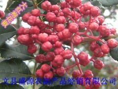 特价供应武都文县优质大红袍花椒图2