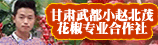 山东莱芜花椒