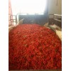 韩城新品种花椒苗：联系电话：15929845159
