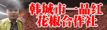 韩城市一品红花椒专业合作社