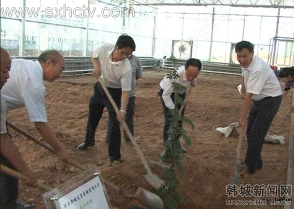 QQ截图20160809160909.jpg