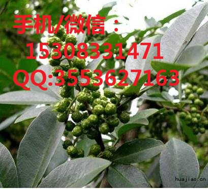 b201703161641041274_副本