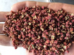 山东莱芜市雪野（茶叶）大红袍供应基地