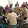 2018四川金阳精品青花椒/青花椒批发