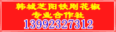 韩城芝阳铁刚花椒专业合作社