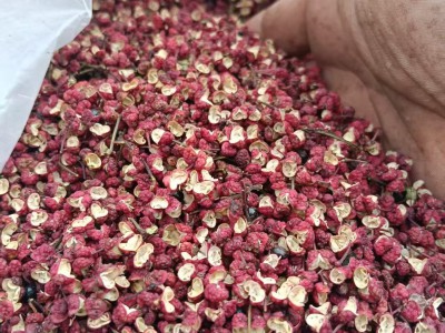 油椒，二红椒、绵椒出售