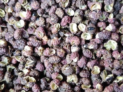 厂家货  金阳青花椒、转红椒图2